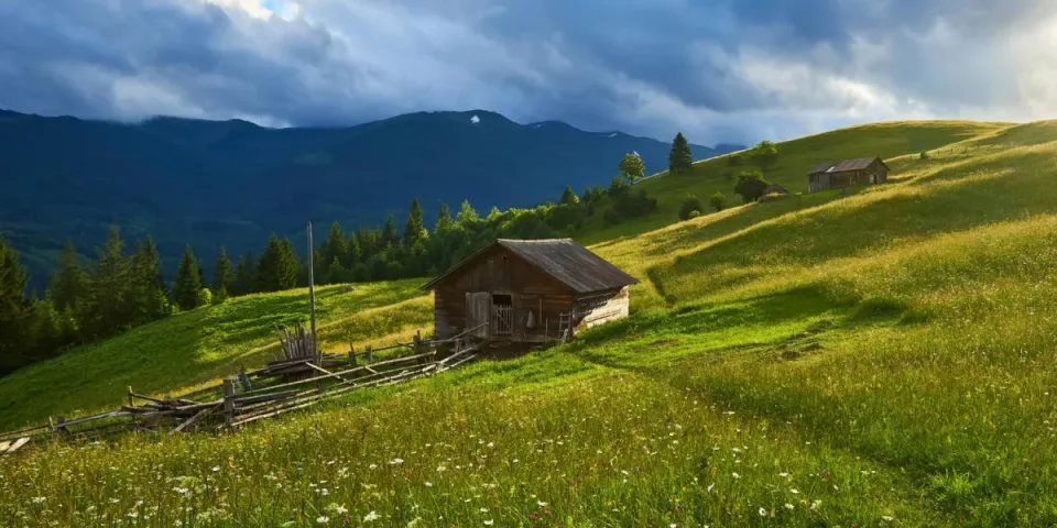 Zobacz te informacje jak znaleźć fachowca od klimatyzacji